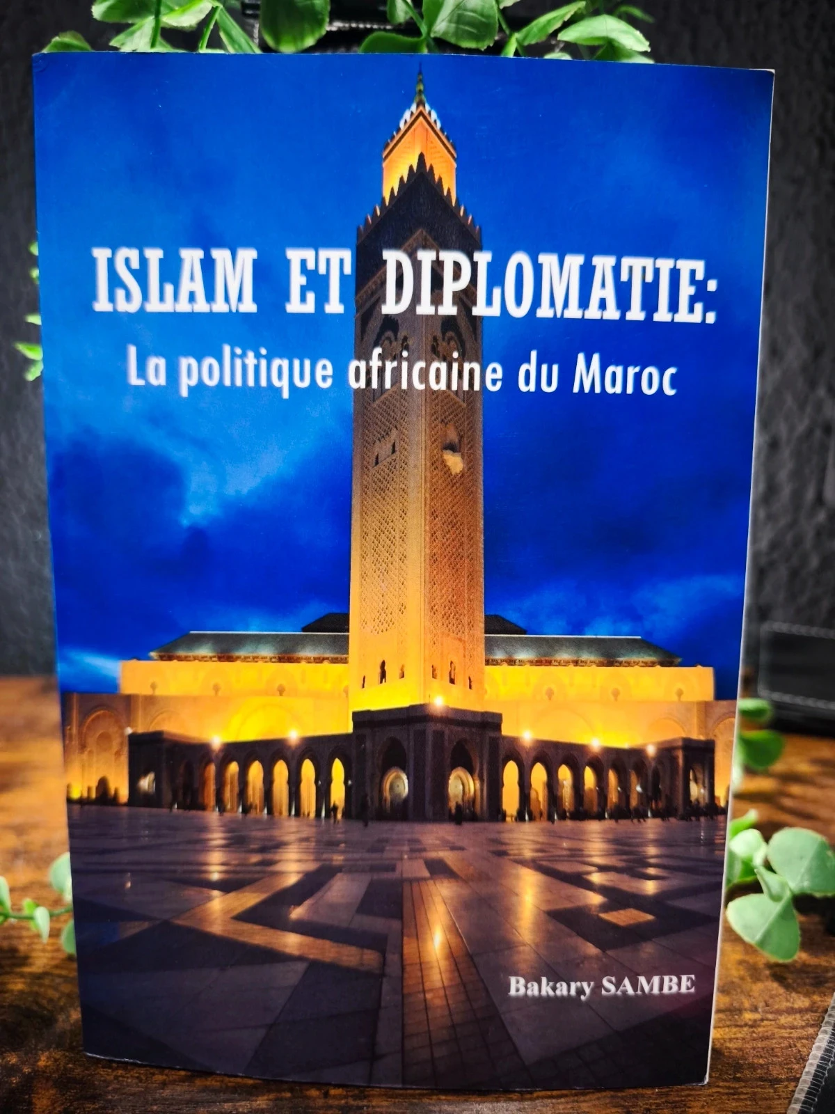Islam et diplomatie : la politique africaine du Maroc